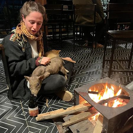 Nguyen Shack Retreat Resort 퐁냐 외부 사진