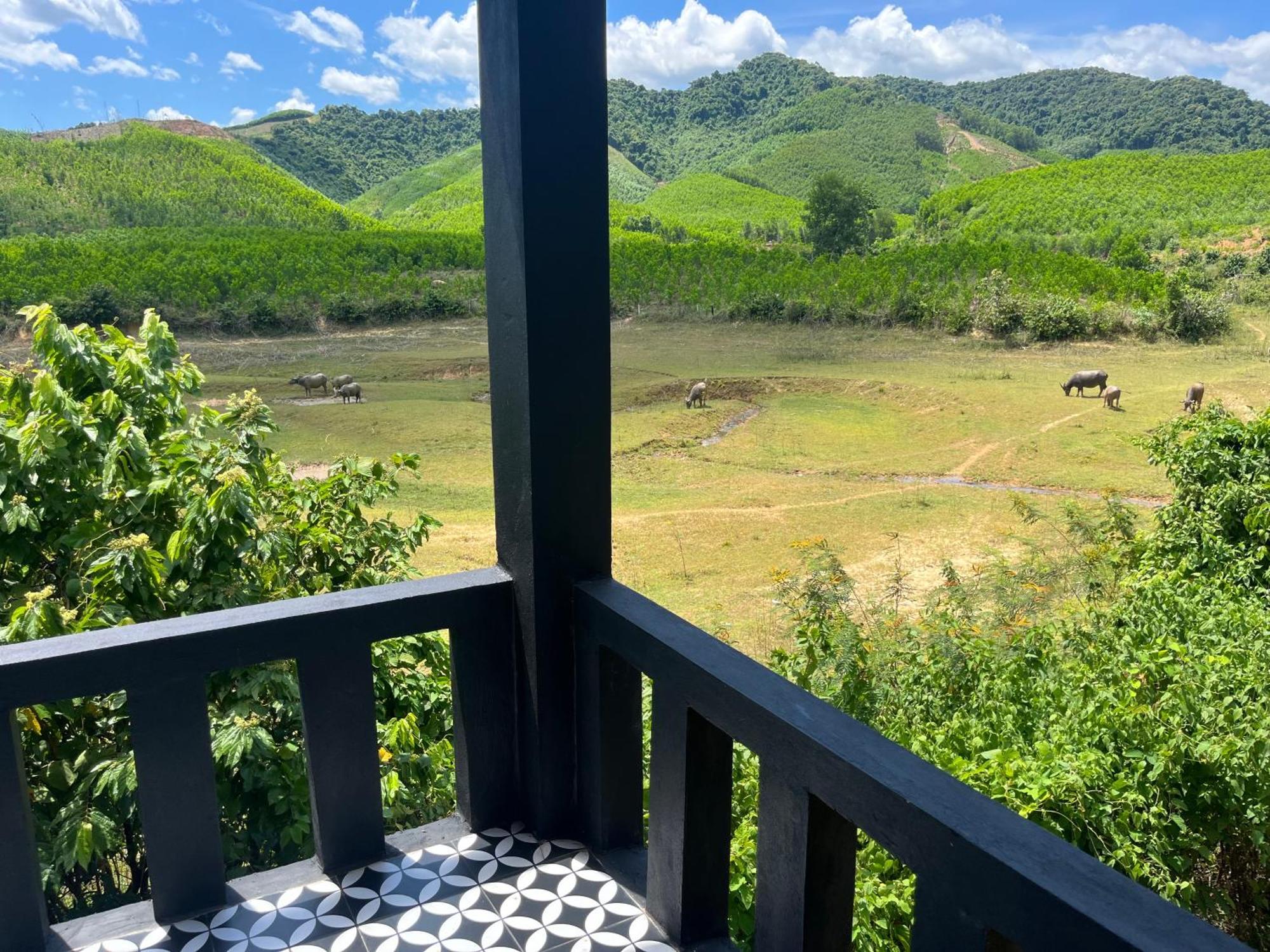 Nguyen Shack Retreat Resort 퐁냐 외부 사진