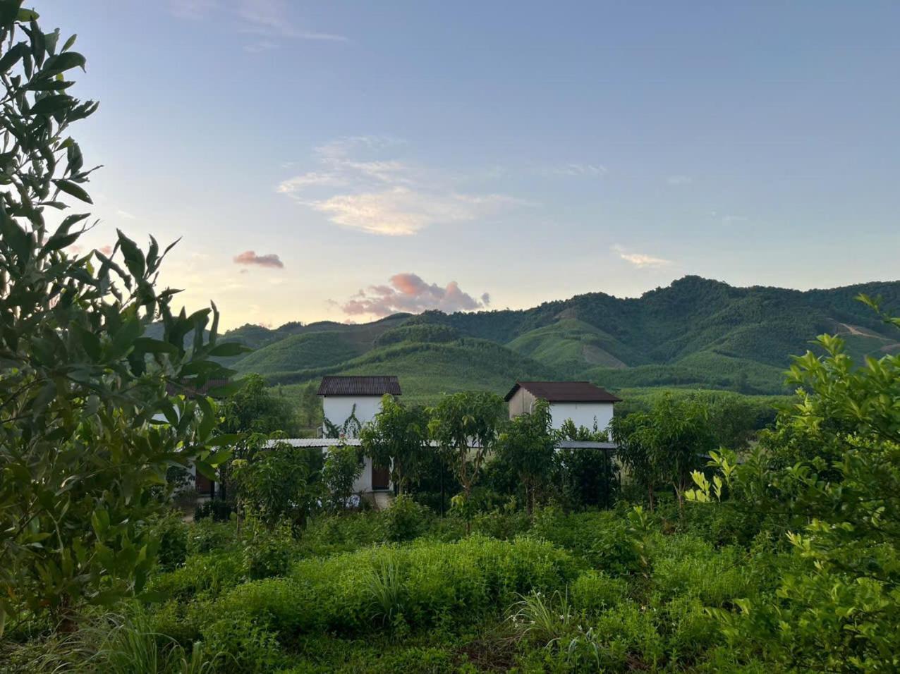 Nguyen Shack Retreat Resort 퐁냐 외부 사진